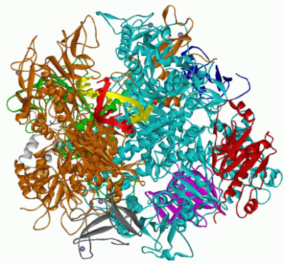 Image Asym./Biol. Unit - manually