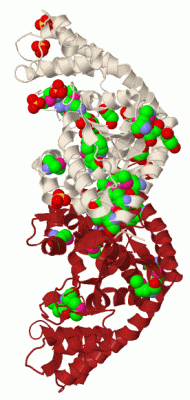 Image Biol.Unit 1 - manually