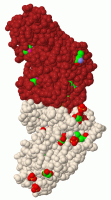 Image Biol.Unit 1 - manually