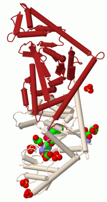 Image Biol.Unit 1 - manually