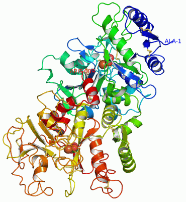 Image Asym./Biol. Unit - manually