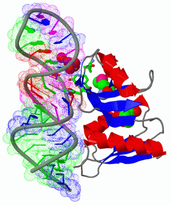 Image Biol.Unit 1 - manually