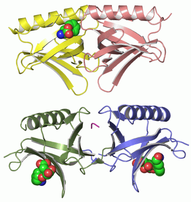 Image Asym.Unit - manually