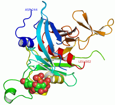 Image Asym./Biol. Unit - manually