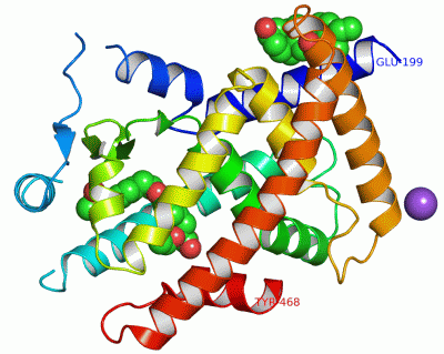 Image Asym./Biol. Unit - manually