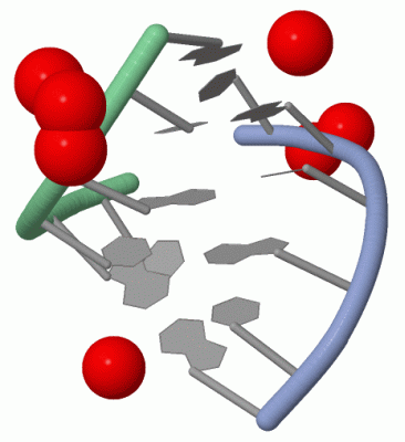 Image Asym./Biol. Unit - manually