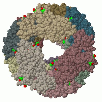 Image Biol.Unit 1 - manually