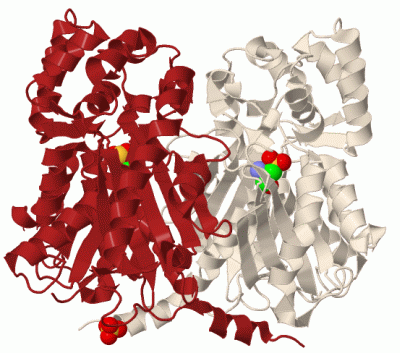 Image Biol.Unit 1 - manually