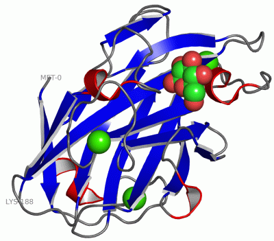 Image Asym./Biol. Unit - manually