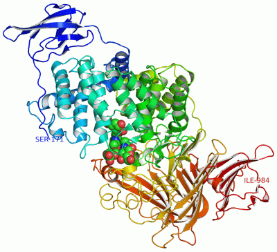 Image Asym./Biol. Unit - manually