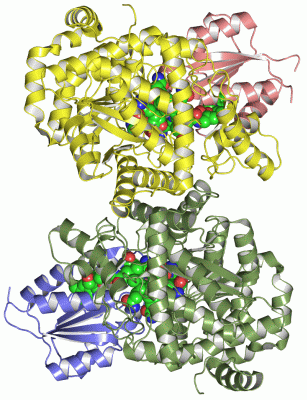 Image Asym./Biol. Unit - manually