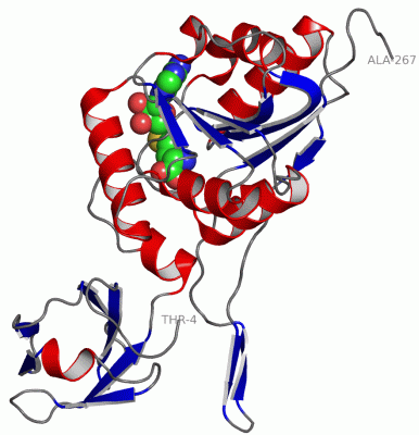Image Asym.Unit - manually