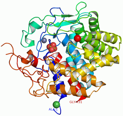 Image Asym./Biol. Unit - manually