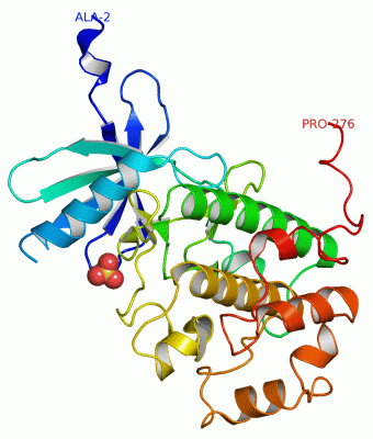 Image Asym./Biol. Unit - manually