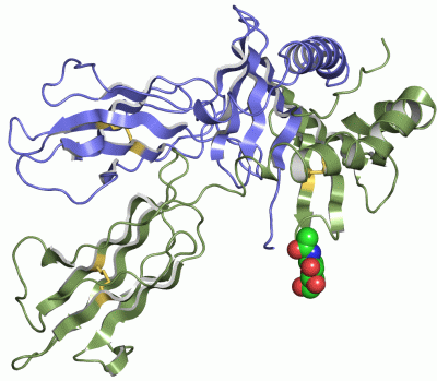 Image Asym.Unit - manually