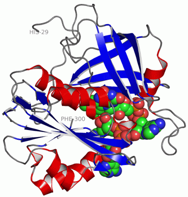 Image Asym./Biol. Unit - manually