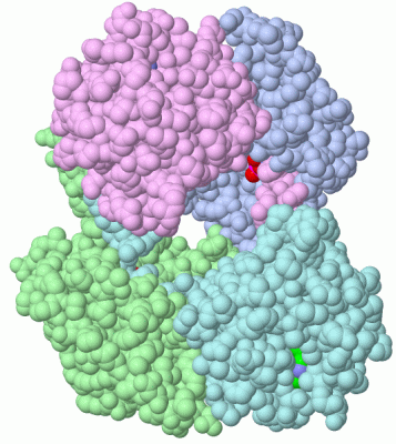 Image Biol.Unit 1 - manually