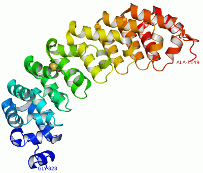 Image Asym./Biol. Unit - manually