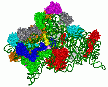 Image Asym./Biol. Unit - manually