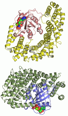 Image Biol.Unit 1 - manually