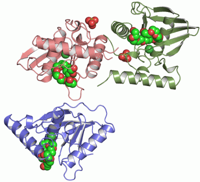 Image Asym./Biol. Unit - manually