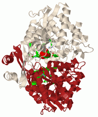 Image Biol.Unit 1 - manually