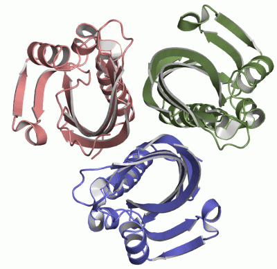 Image Asym./Biol. Unit - manually