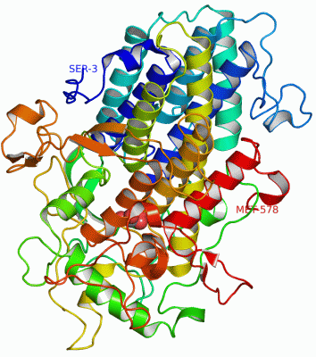 Image Asym./Biol. Unit - manually
