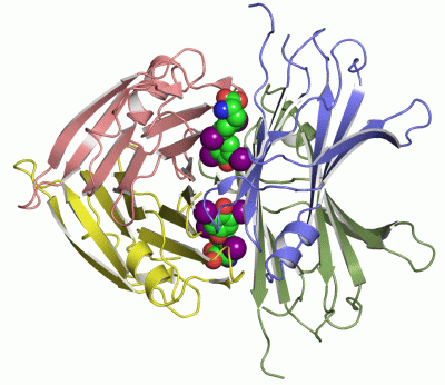 Image Asym./Biol. Unit - manually