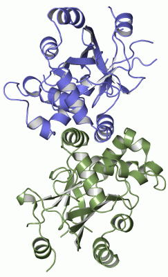 Image Asym./Biol. Unit - manually