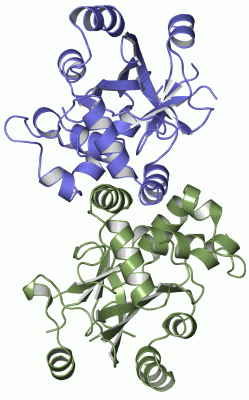 Image Asym./Biol. Unit - manually