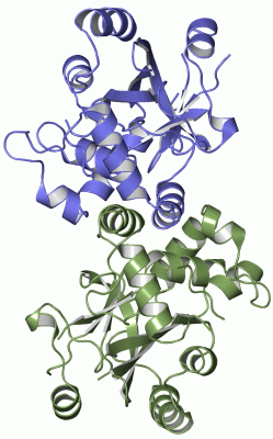 Image Asym./Biol. Unit - manually