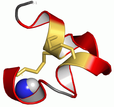 Image NMR Structure - manually