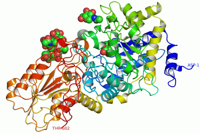 Image Asym./Biol. Unit - manually