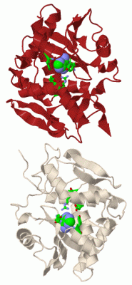 Image Biol.Unit 1 - manually