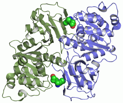 Image Asym./Biol. Unit - manually