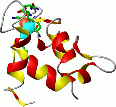 Image Asym./Biol. Unit - manually