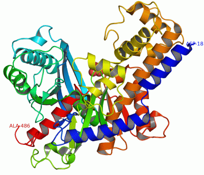 Image Asym./Biol. Unit - manually