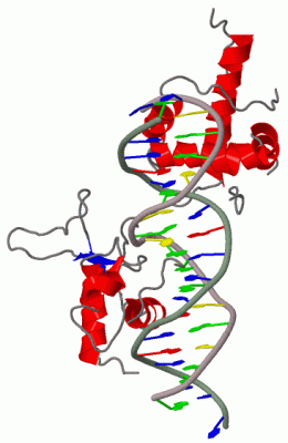 Image Biol.Unit 1 - manually