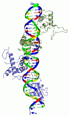 Image Asym.Unit - manually