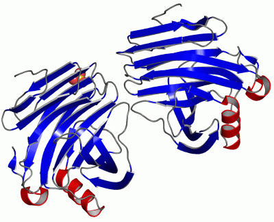 Image Asym.Unit - manually
