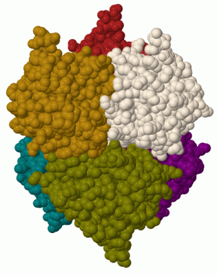 Image Biol.Unit 1 - manually
