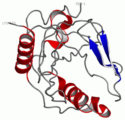 Image Asym.Unit - manually
