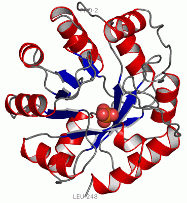 Image Asym./Biol. Unit - manually