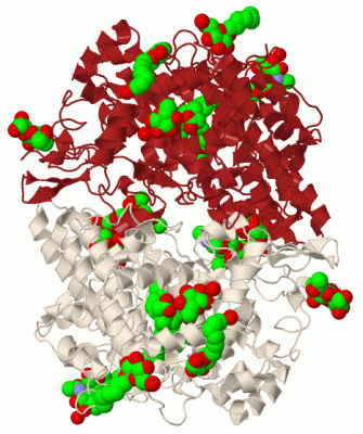 Image Biol.Unit 1 - manually