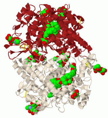 Image Biol.Unit 1 - manually