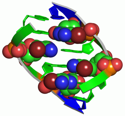 Image Asym./Biol. Unit - manually