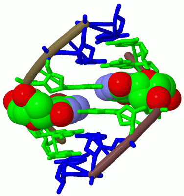 Image Biol.Unit 1 - manually