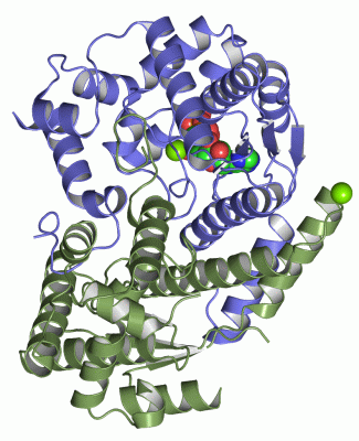 Image Asym./Biol. Unit - manually