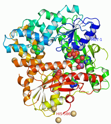Image Asym.Unit - manually